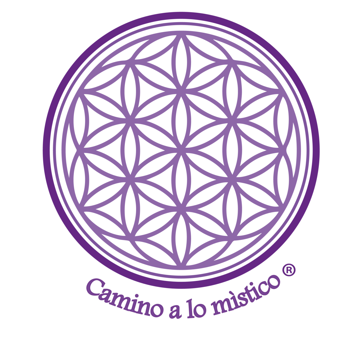 logo nuevo
